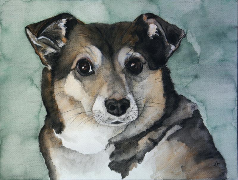 Water color portrait of an adorable dog.