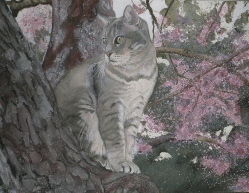 Water color painting. A grey tabby sits in the branches of a tree. Part of a lilac bush in bloom forms the background.