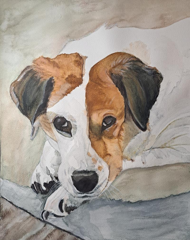 A dog named Cooper
