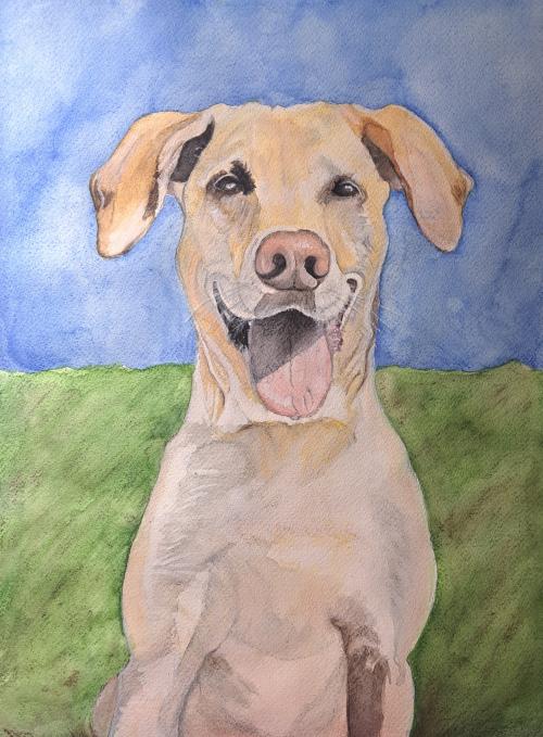 A dog