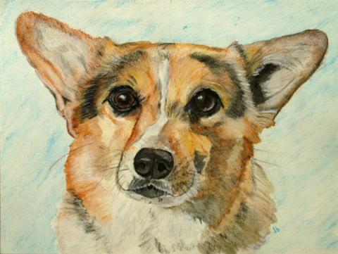 Watercolor portrait of a beutiful dog of white, tan and black.
