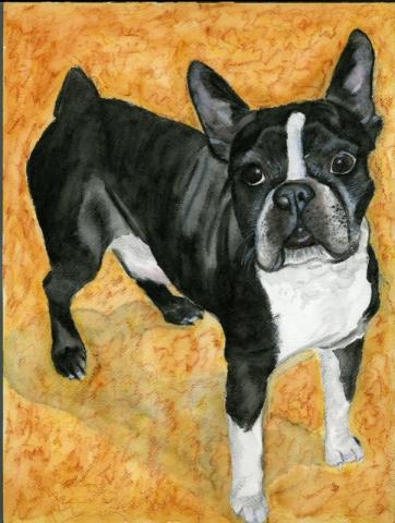 Watercolor painting of a boxer dog standing on all fours and looking at the viewer.