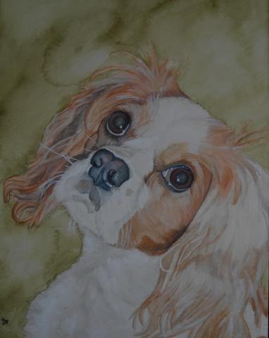 Water color painting of a small, tan and white dog with big fluffly ears.