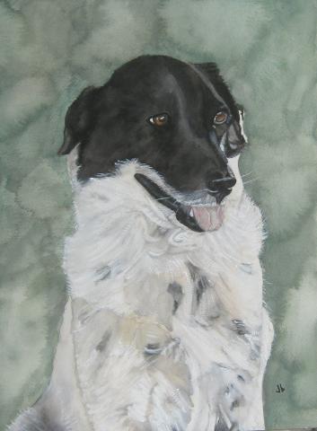 Watercolor painting of a happy dog who has a white body with gray spots and a black head.